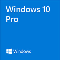 Windows 10 Professional