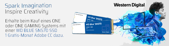 72602_wd_blue_sn570_artikelbanner