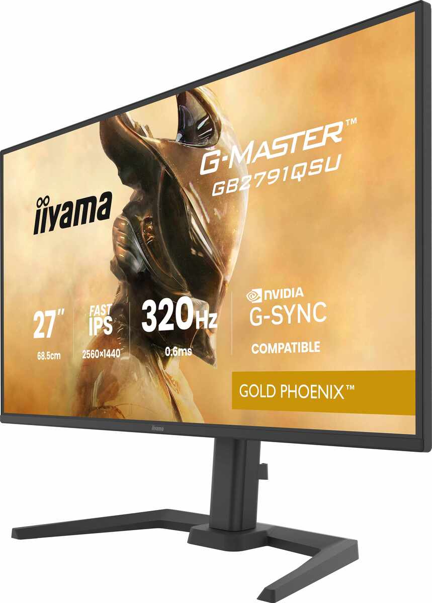 Iiyama G-MASTER GB2791QSU-B1 Gold Phoenix, Bild 2 (19.02.2026)