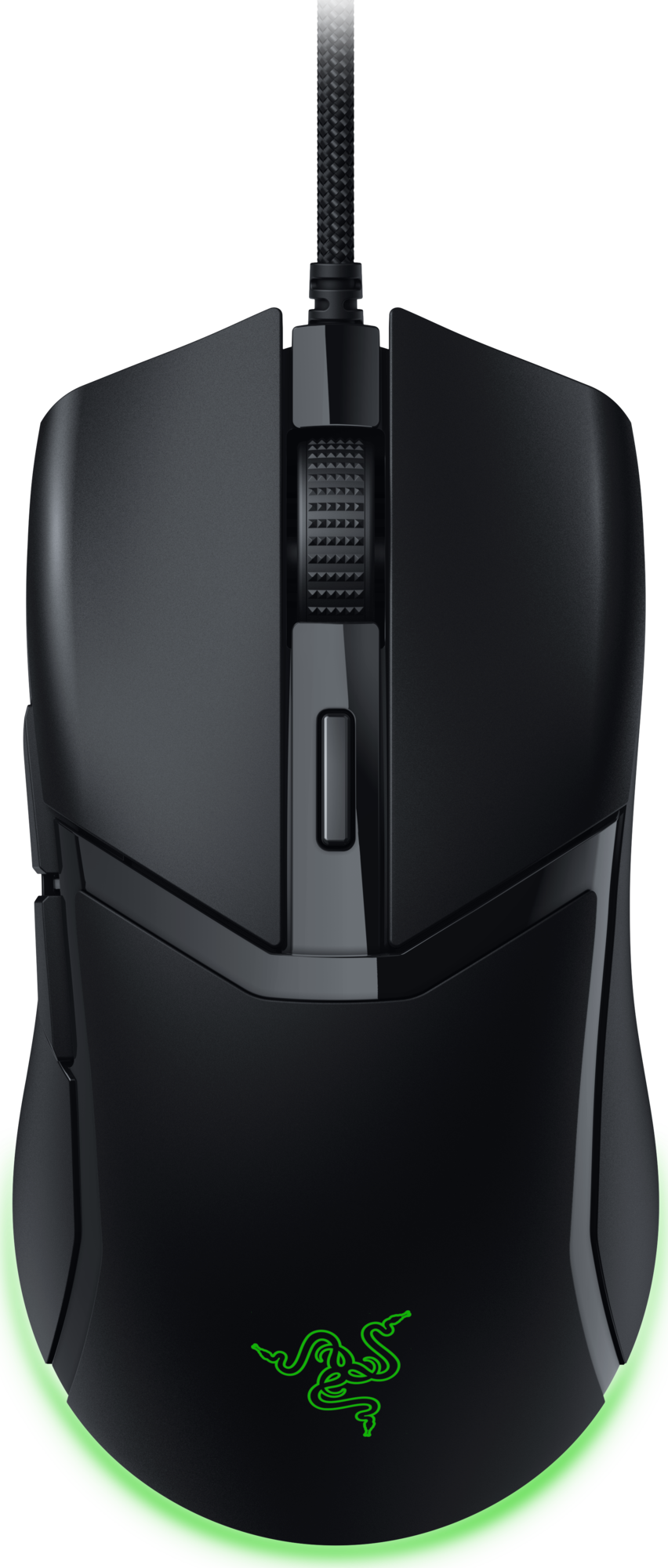 Razer Cobra, Hauptbild (14.07.2024) Razer Cobra, Hauptbild (14.07.2024)