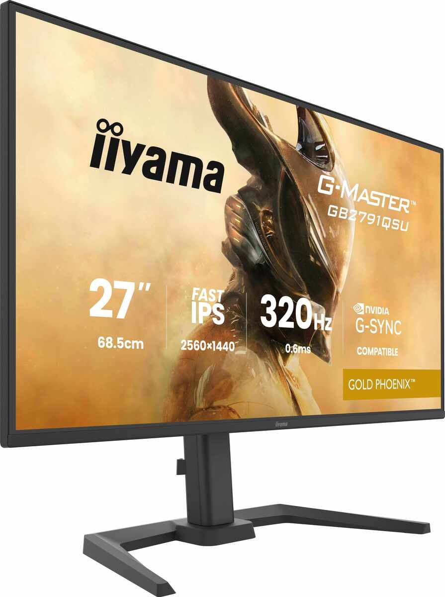 Iiyama G-MASTER GB2791QSU-B1 Gold Phoenix, Bild 6 (19.02.2026)