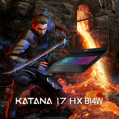 MSI Katana 17 HX B14WFK-234 - WAFFE DER MEISTER