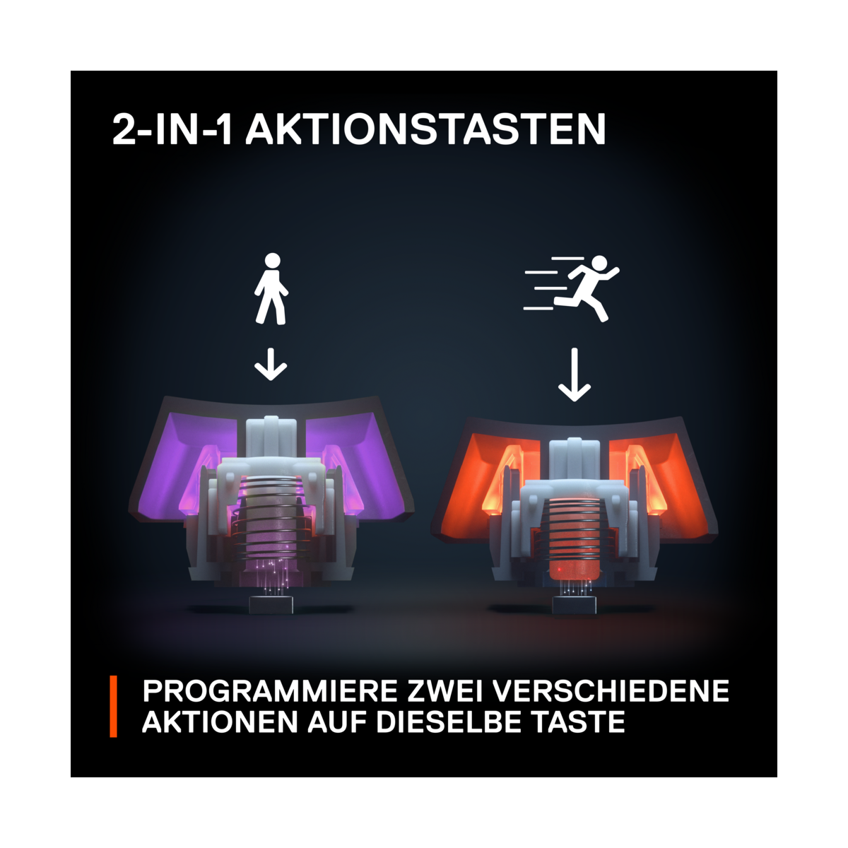 SteelSeries Apex Pro Mini, Bild 6 (03.08.2023)