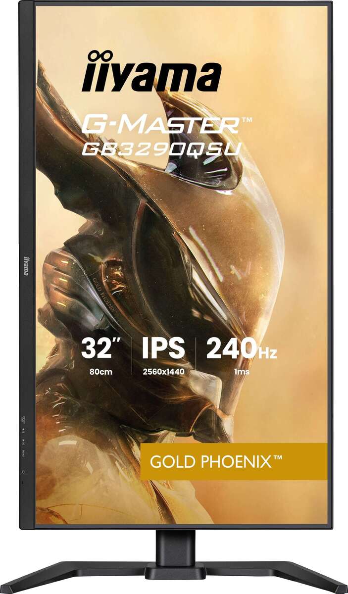 Iiyama G-MASTER GB3290QSU-B1 GOLD PHOENIX, Bild 2 (09.06.2026)